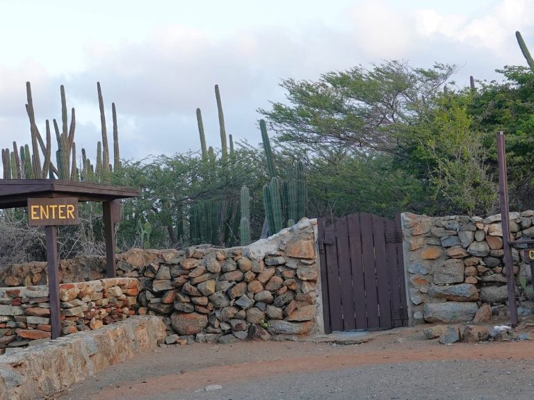 Aruba Conservation Foundation
