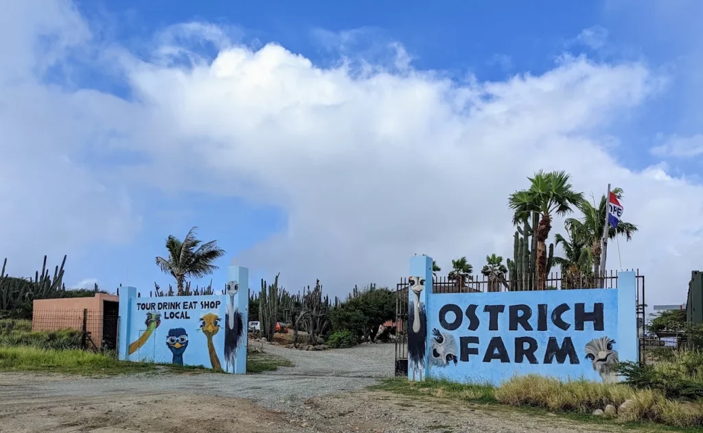 Aruba Ostrich Farm