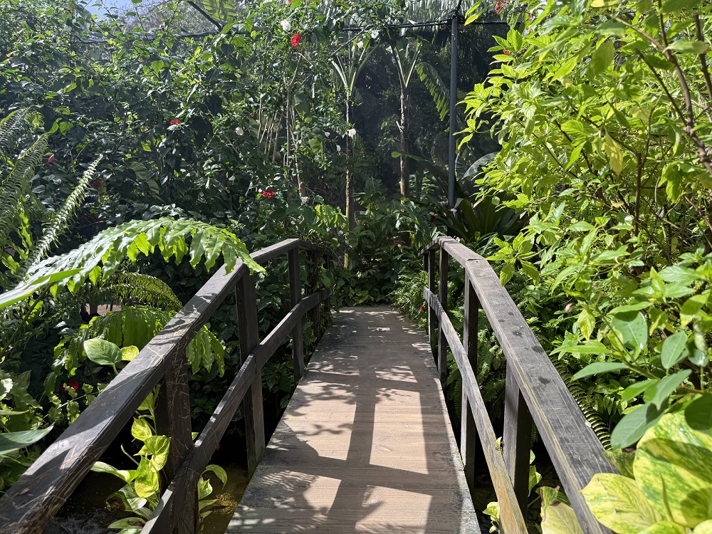 The Butterfly Farm Aruba