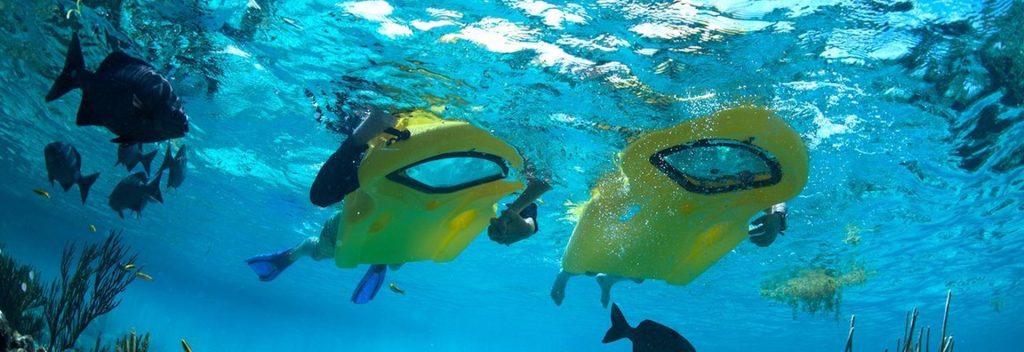 Zayaking Vela Sports Aruba