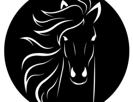 Black circular graphic featuring a white outlined horse head associated with Aruba Horse Tour.